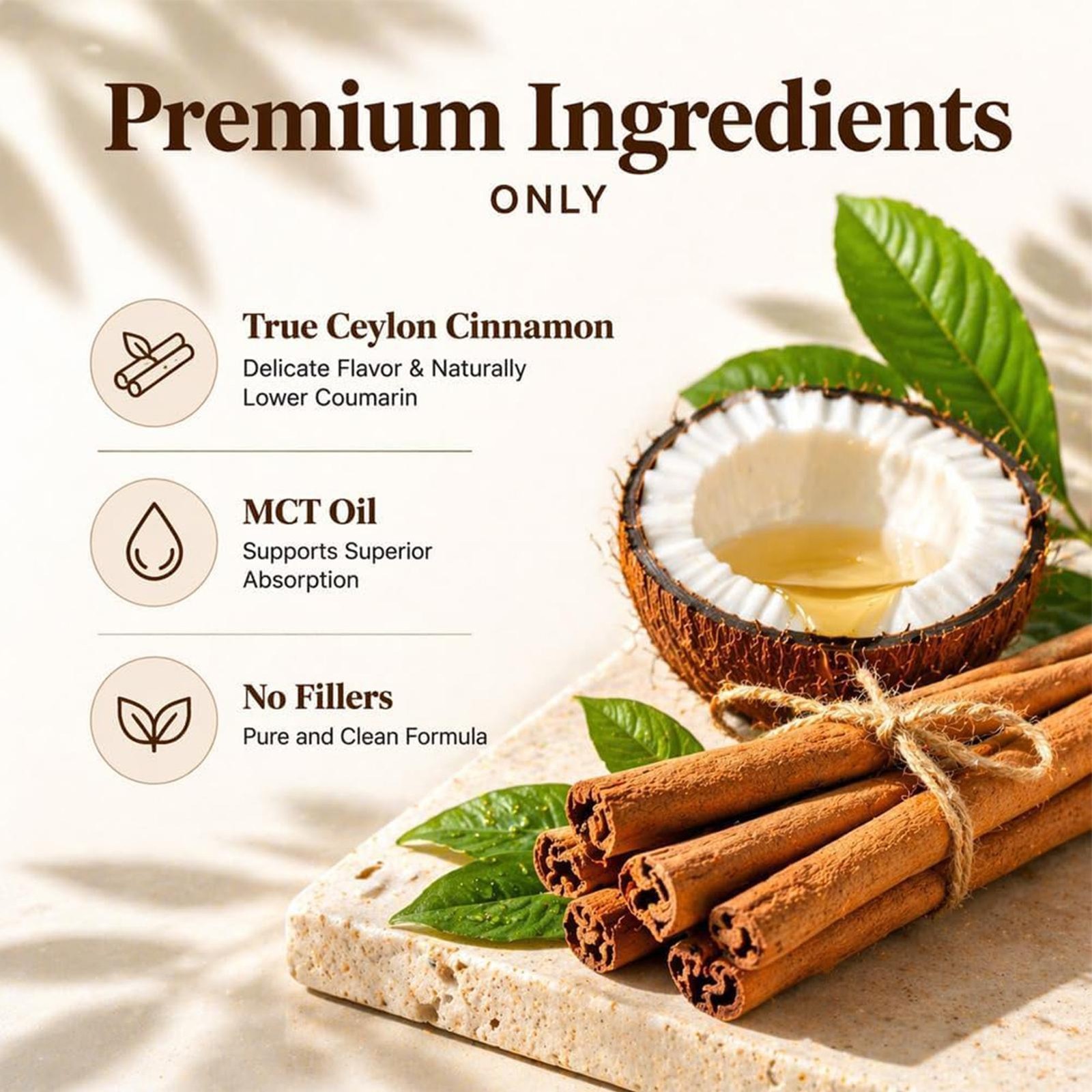 Metabolae Ceylon Cinnamon Capsules With MCT Oil, Non-GMO, Gluten Free, 300pcs