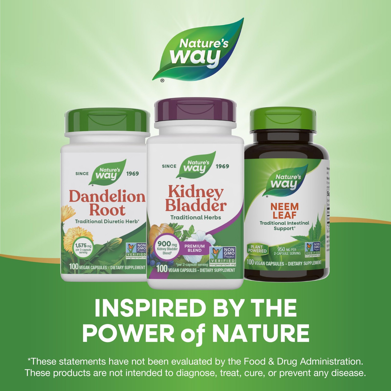 Nature’s Way Kidney Bladder Premium Blend, 900 mg per 100 Count (Pack of 1)