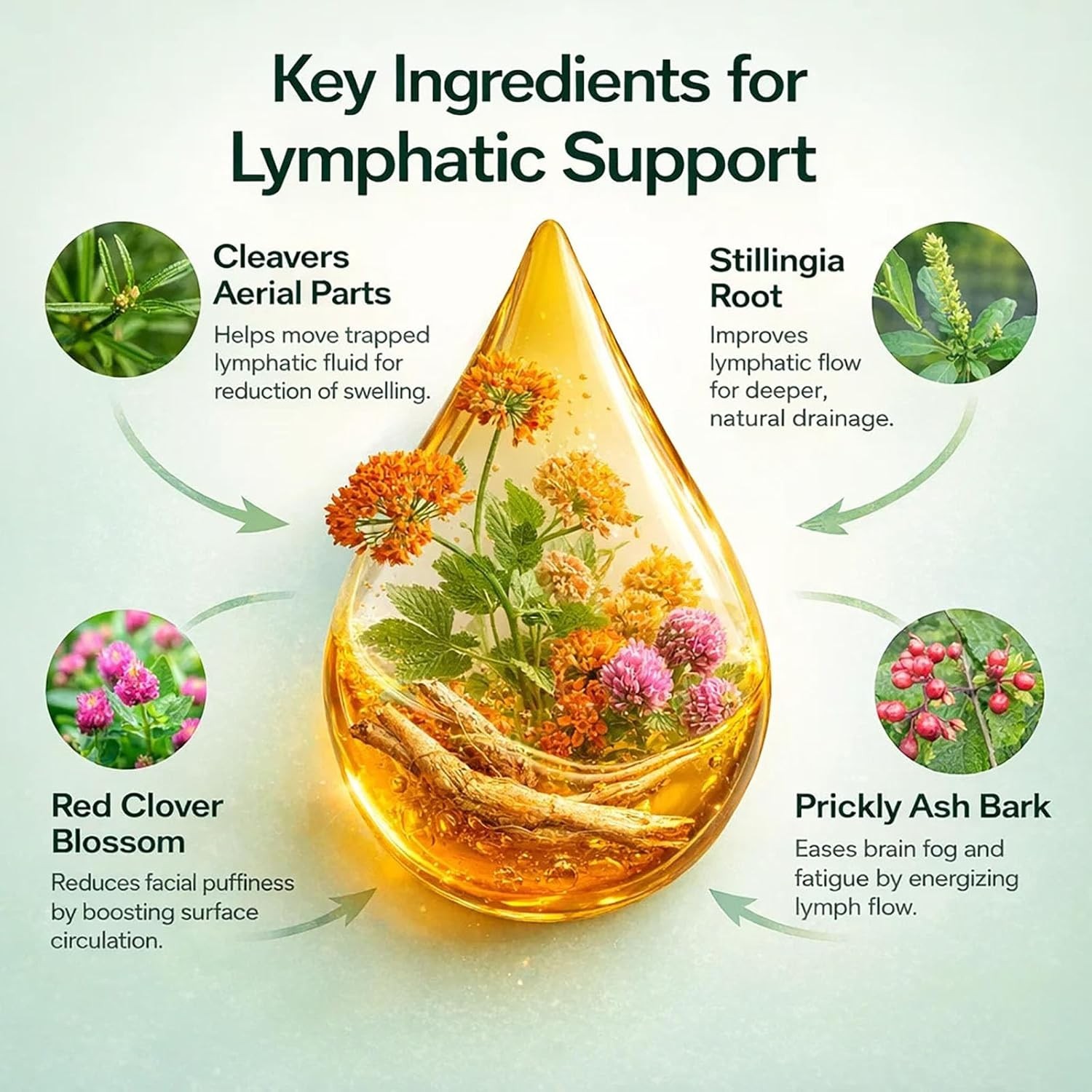 1-3Pack Lymphatic Drainage Drops – pure Lymphatic Drainage Supplement~ 20%OFF