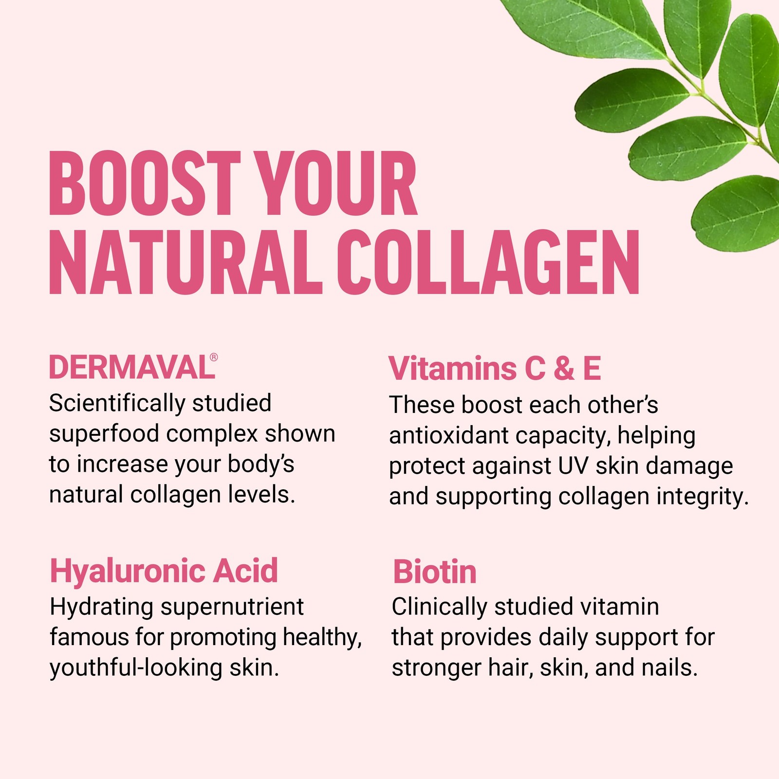 Force Factor Collagen Boosting Superfoods, Vegan 1 Pack, Tropical Fruit
