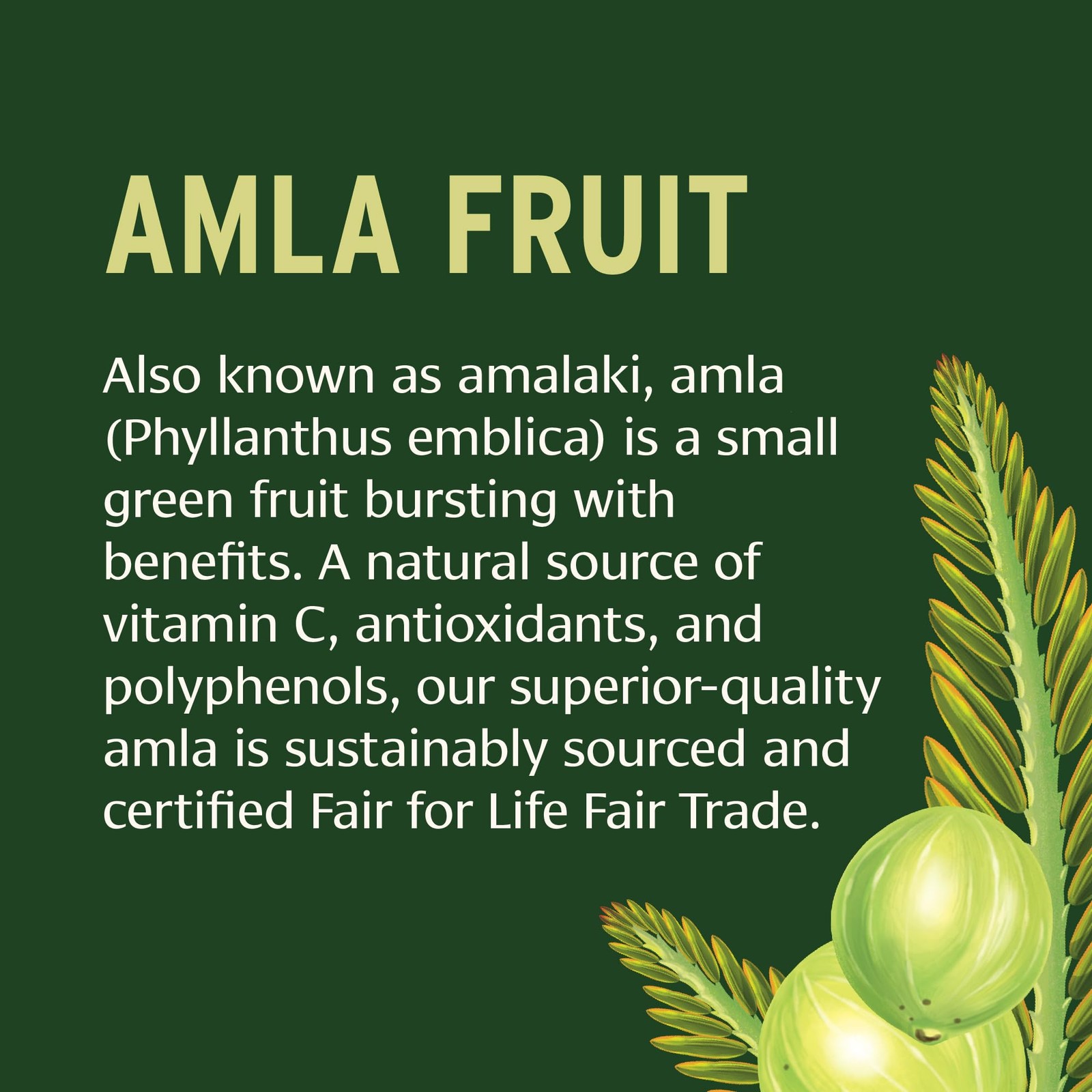 Banyan Botanicals Organic Amla Tablets – Natural Vitamin 90 Count (Pack of 1)