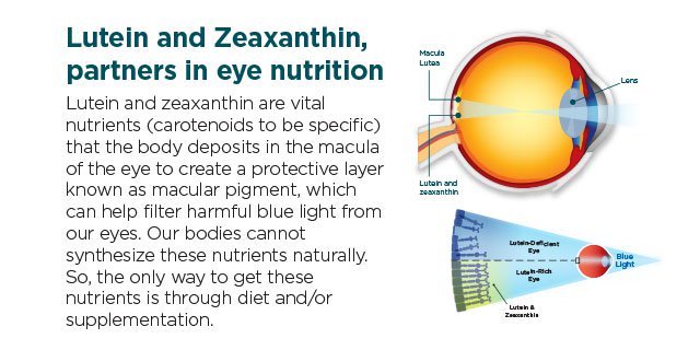 eye health – Eye Vision Guard 24mg – eye health 2 Bottles