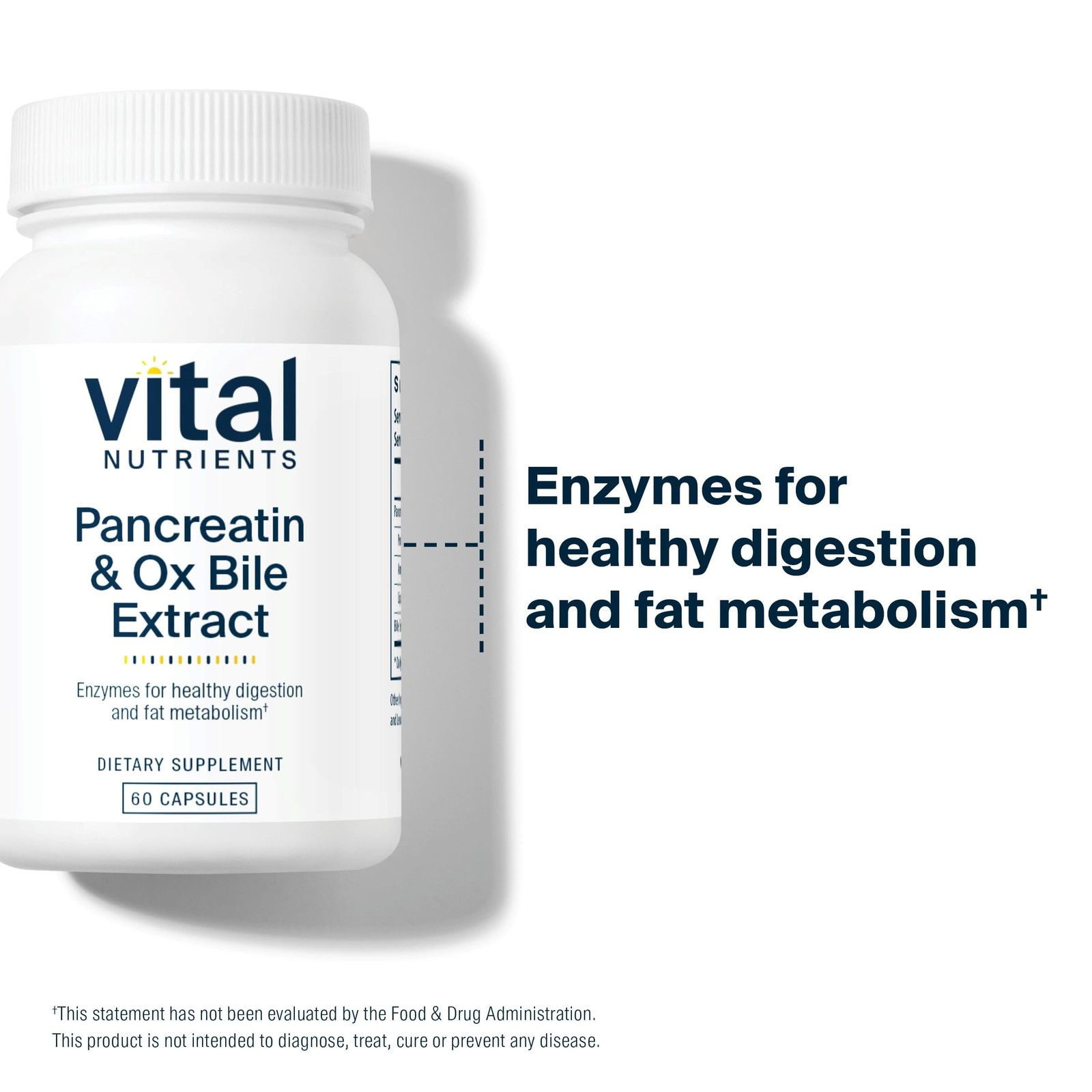 Vital Nutrients Pancreatin & Ox Bile Extract 500mg | 60 Count (Pack of 1)