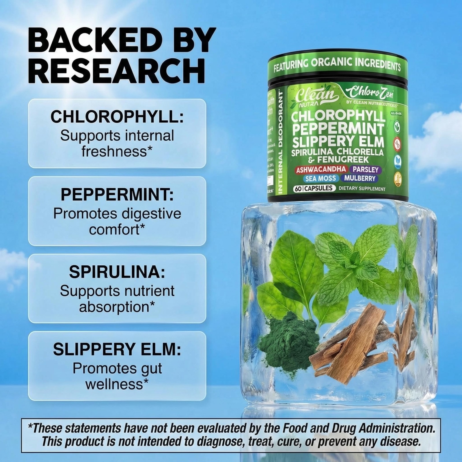 Clean Nutra ChloroZen Chlorophyll Peppermint + Spirulina 60 Caps Veg Exp 05/2028