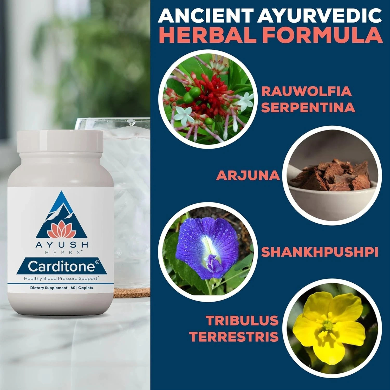 Ayush Herbs Carditone Cardiovascular &BP Supplement, 60 Caplets, Newest Exp!