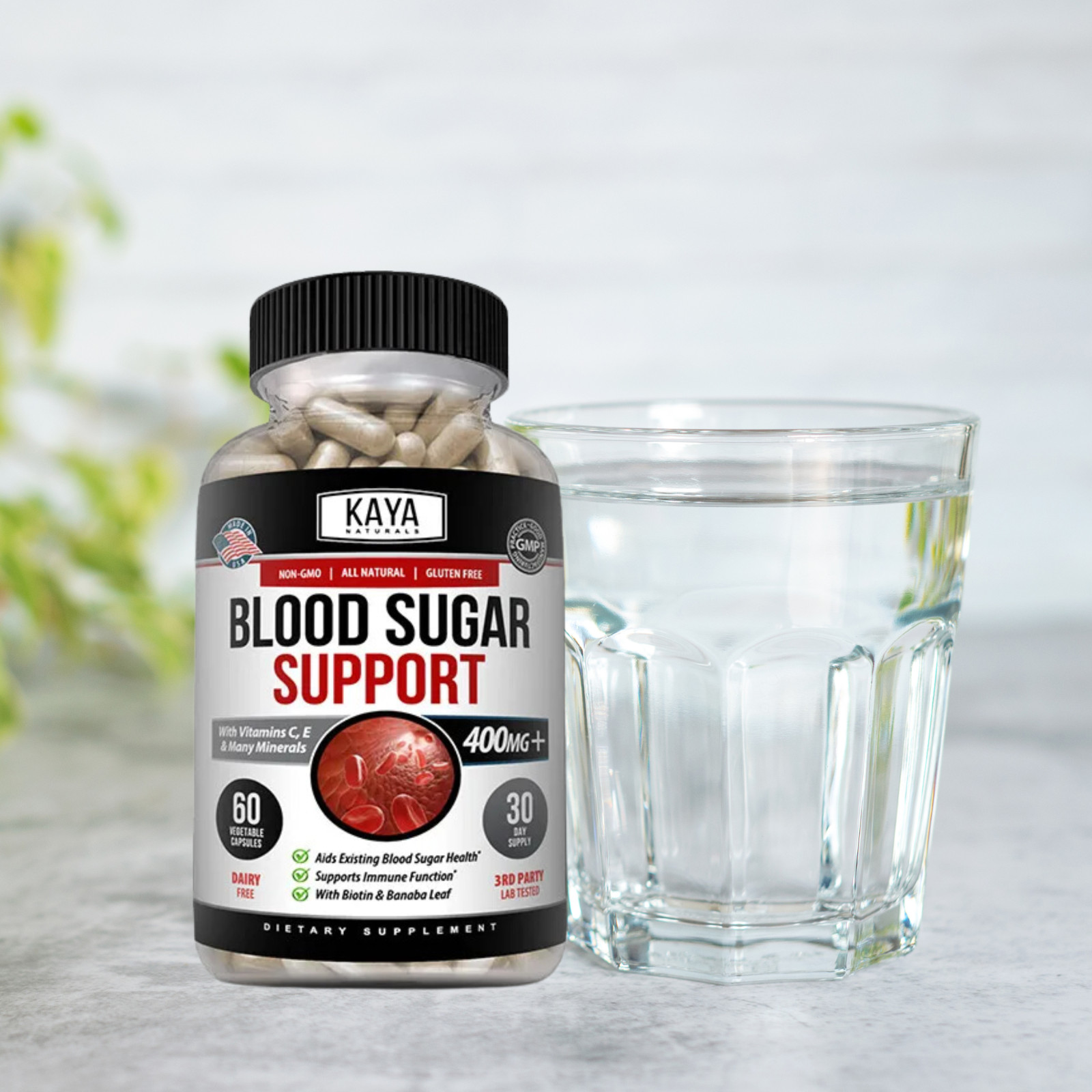 (2 Pack) BLOOD SUGAR SUPPORT Alpha Lipoic Acid & Cinnamon 20 Herbs 60 Capsules