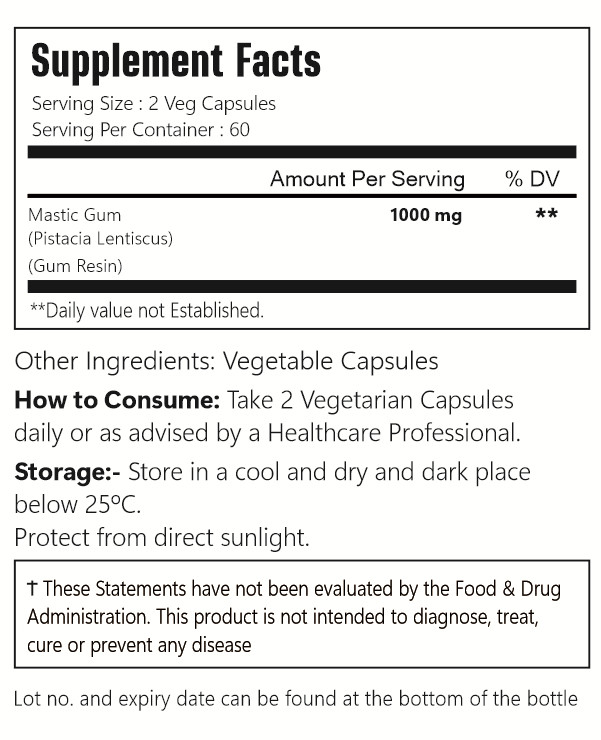PipingRock Mastic Gum 1000mg 120 Capsules | Non-GMO 2 Pack- Exp. 06-2023