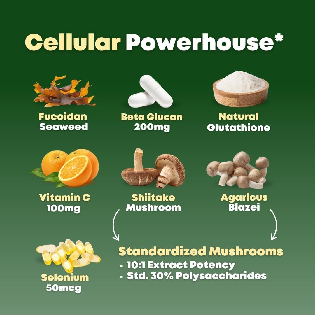 Beta Glucan & Fucoidan Brown Seaweed Extract – Immune, Cellular, Aging Support