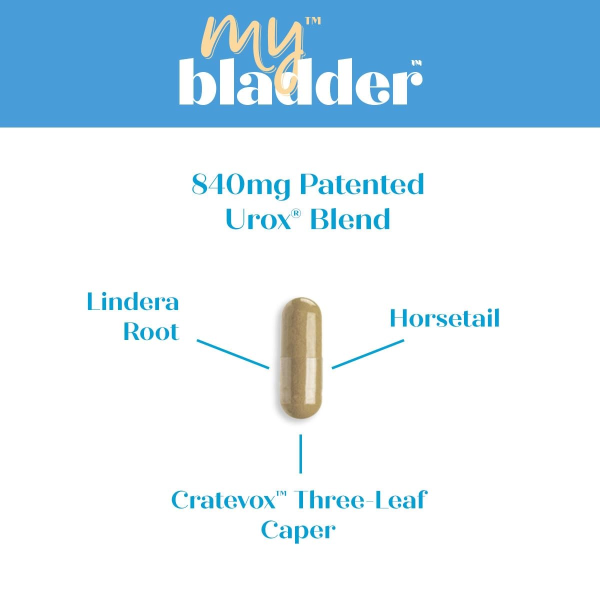 MyBladder Support Formula by Purity Products Promotes Normal Bladder Control…