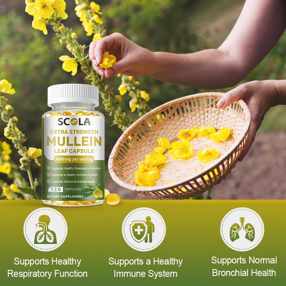 Mullein Leaf Capsules Extra Strength Support Respiratory Health Lung Detox 120Pc