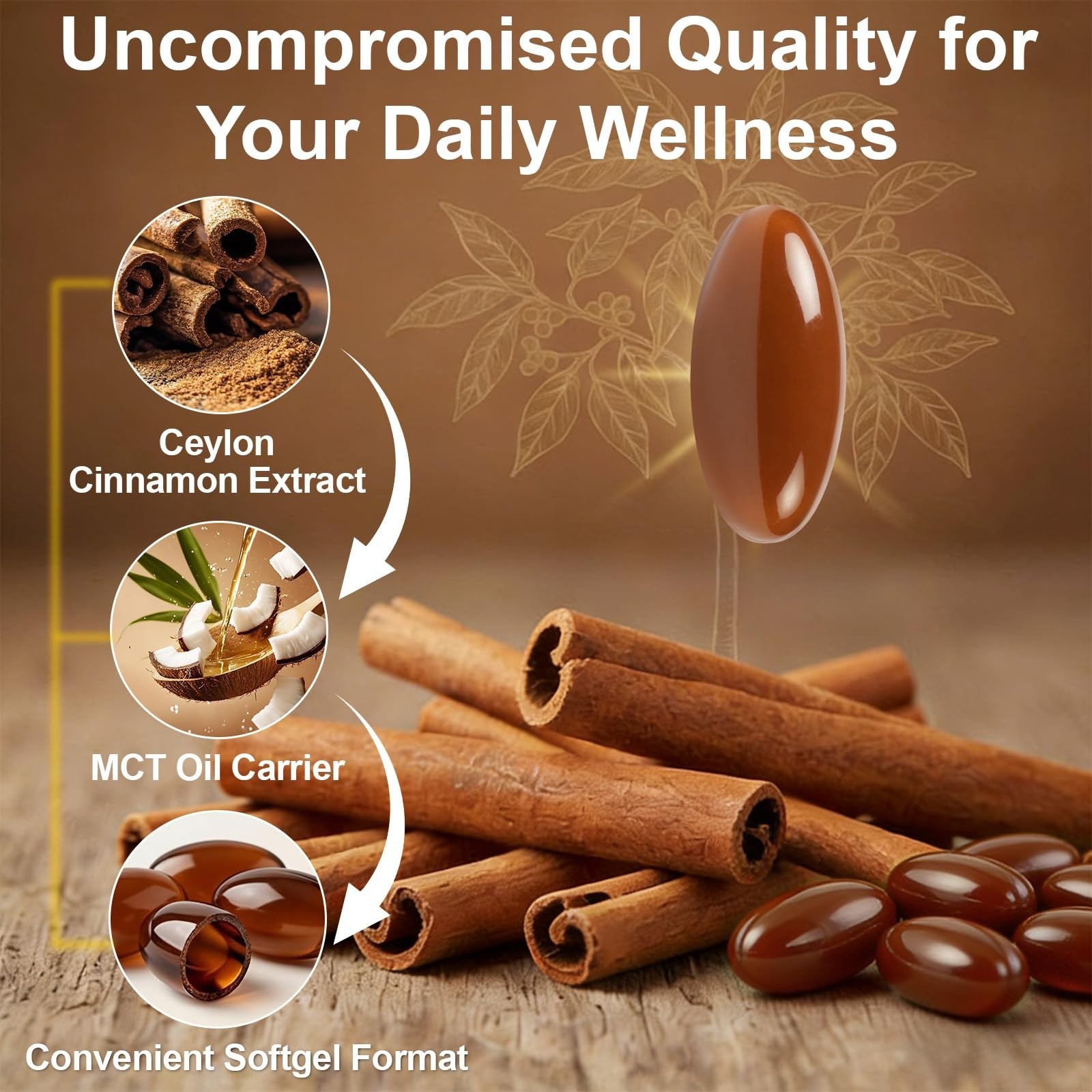 Ceylon Cinnamon Softgels with MCT Oil – 300 Count, Digestive Support, Non-GMO, G