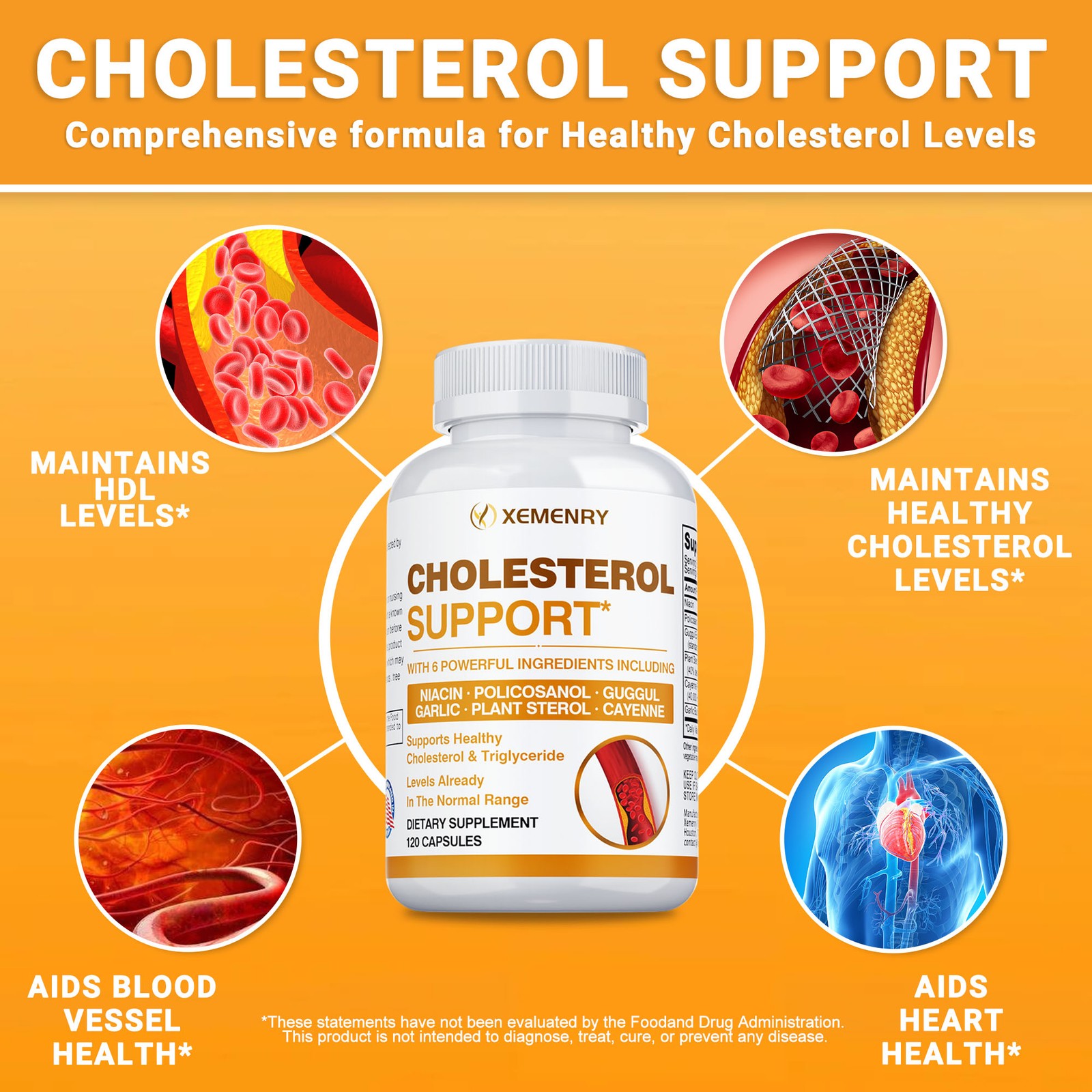 Cholesterol Support – Balance Cholesterol Supplement High Cholesterol Lowering