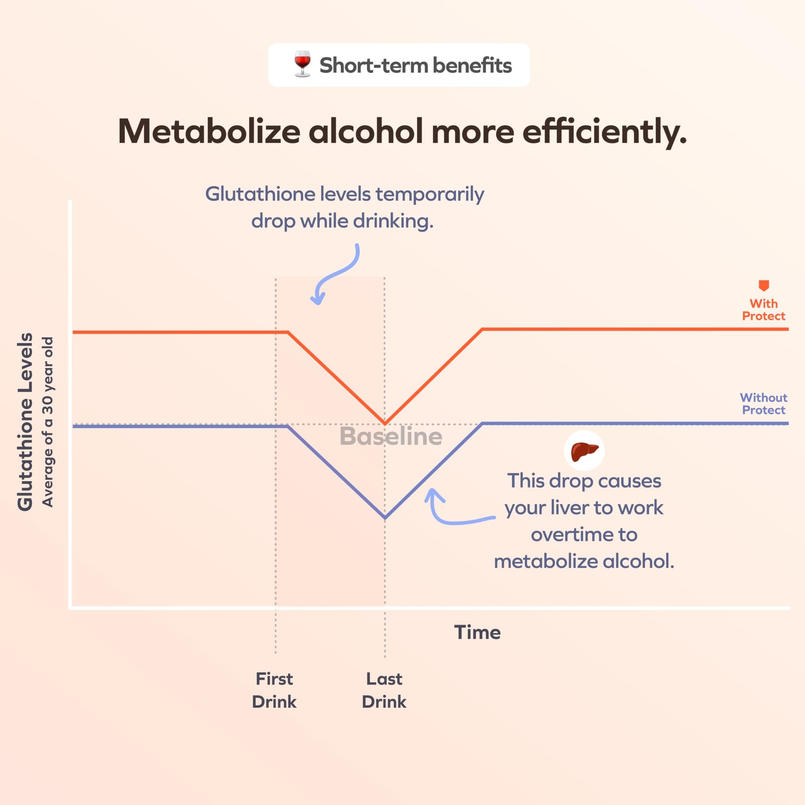 Protect Cheers | Daily Liver DHM for Drinkers with L-Cysteine + Supplement | …