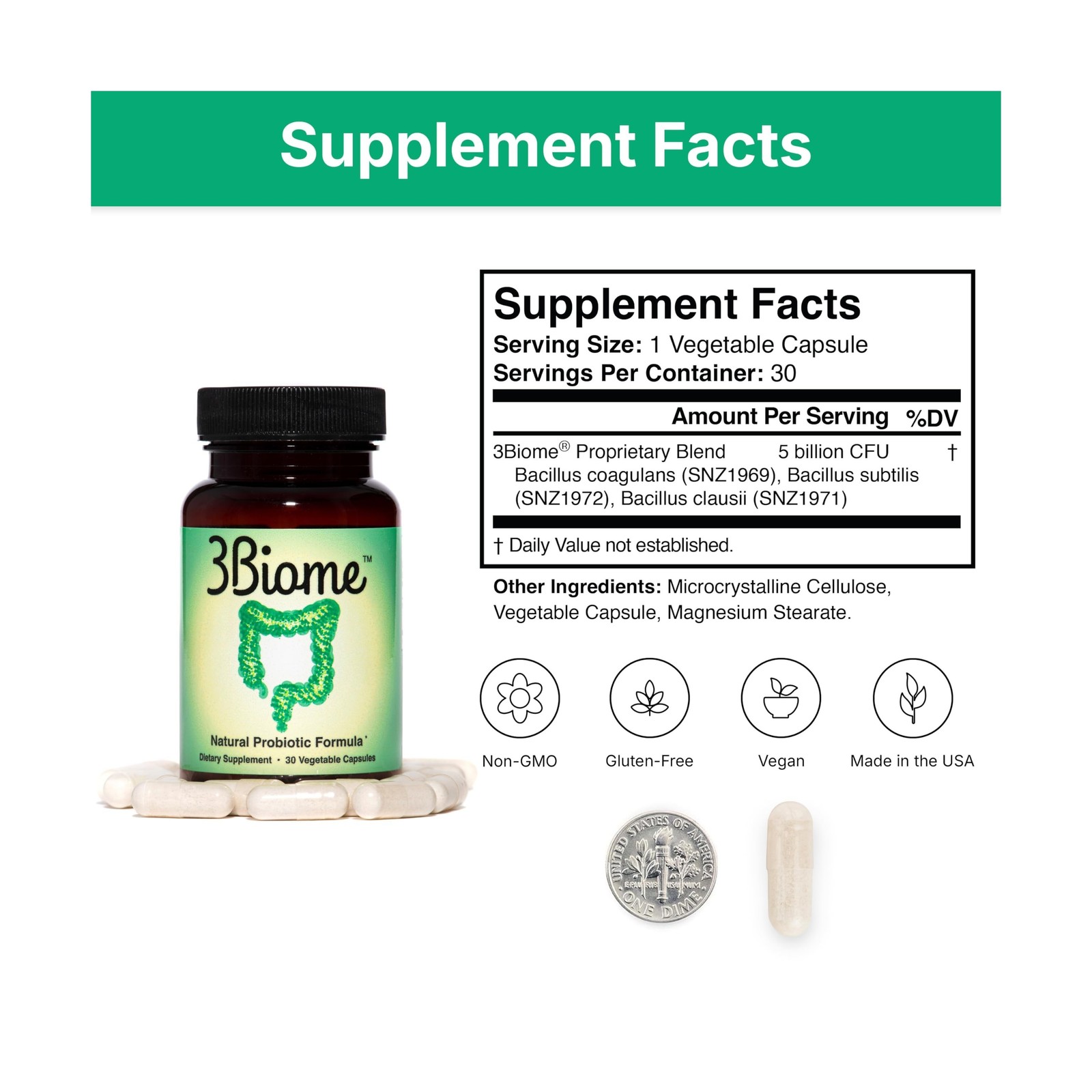Natural Probiotic Supplement – Non-GMO, Vegan, Gluten-Free 30 Count (Pack of 1)