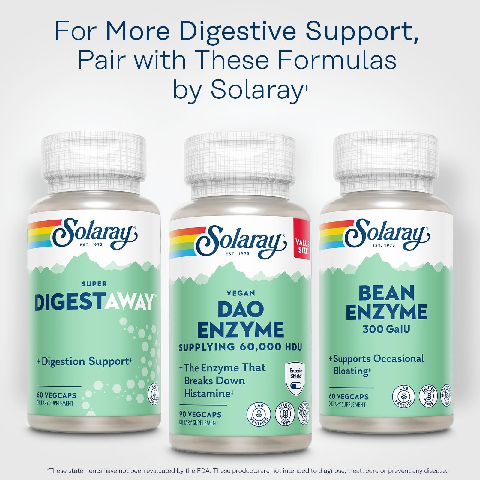 Plant-Based DAO Enzyme 60,000 HDU | Histamine Digestion Support – Vegan, Enteric