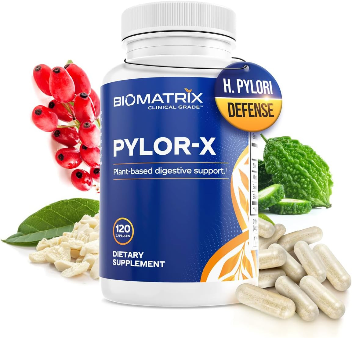 Pylor-X Gut Health Supplement – Mastic Gum, Berberine, Zinc Carnosine & Bismuth