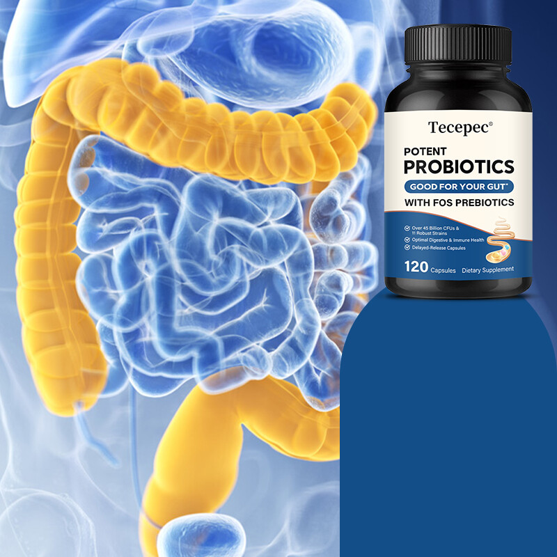 Probiotic w/Prebiotic FOS – Promoting Digestive Support w/ 45 Billion CFU