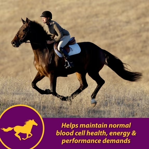 Horse Health Red Cell Vitamin-Iron-Mineral 32 Oz 16 Day Supply