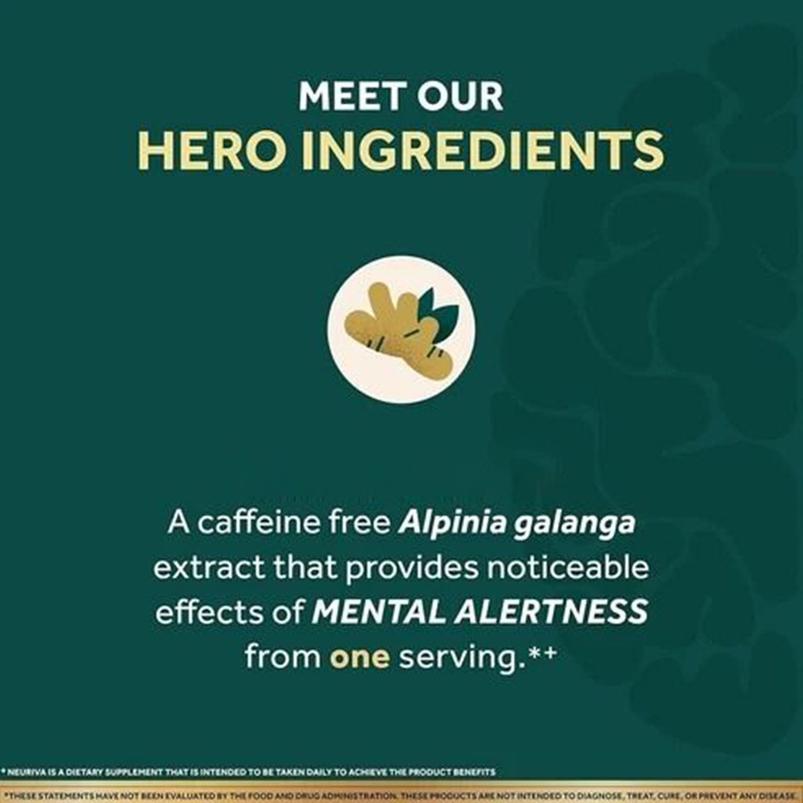Brain Ultra Health Mental Alertness Memory Focus ( 60 Caps )