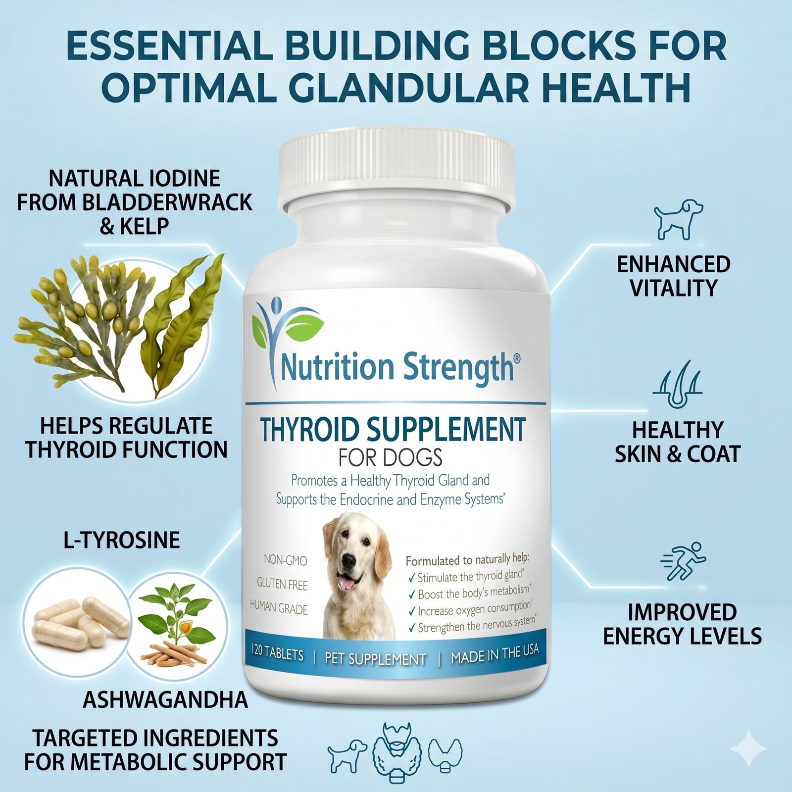 Thyroid Supplement for Dogs, Support for Hypothyroidism in Dogs with Organic …