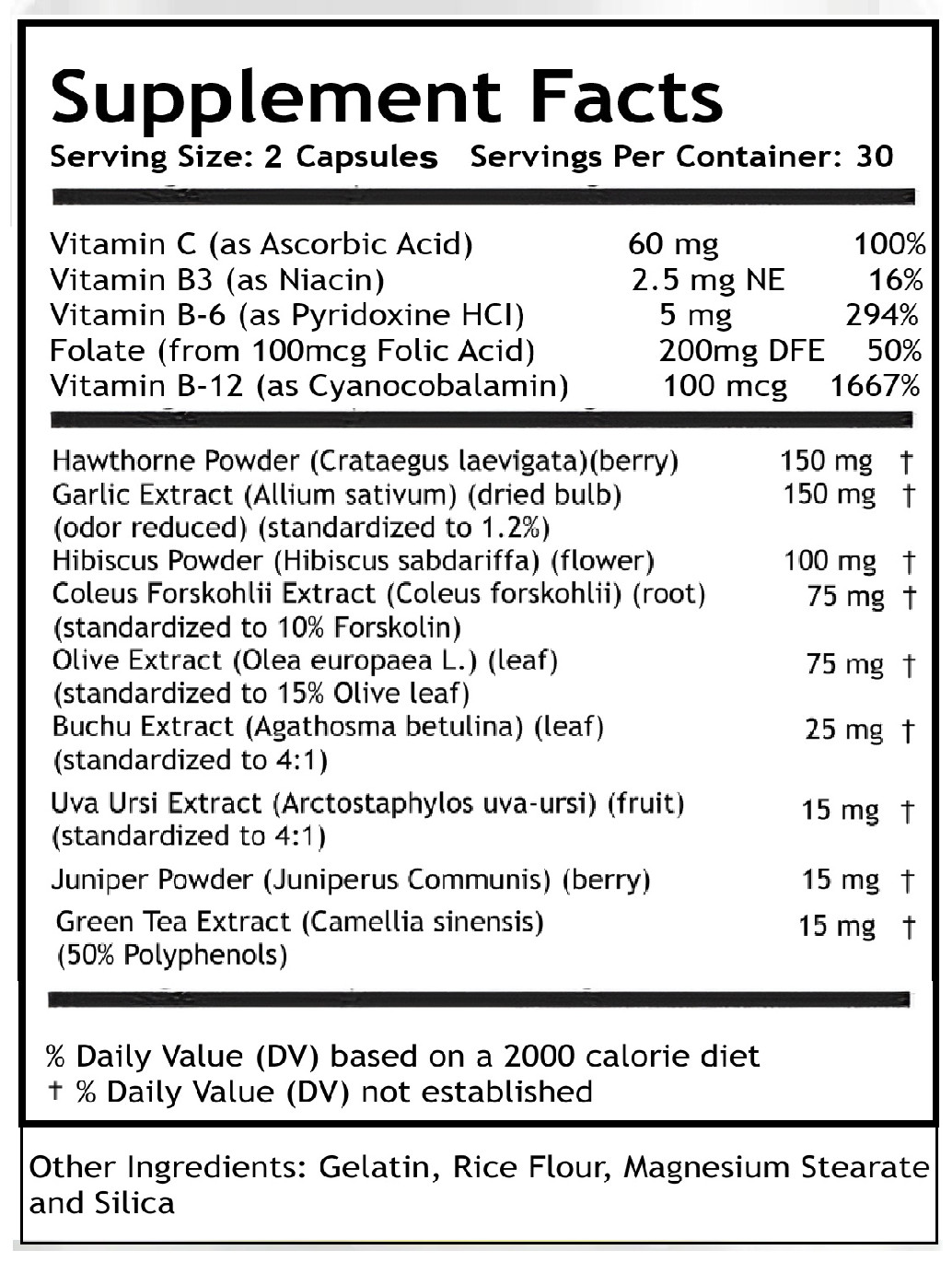 Healthy Flow Blood Support Formula – 2 Bottle Pack (120 Capsules)
