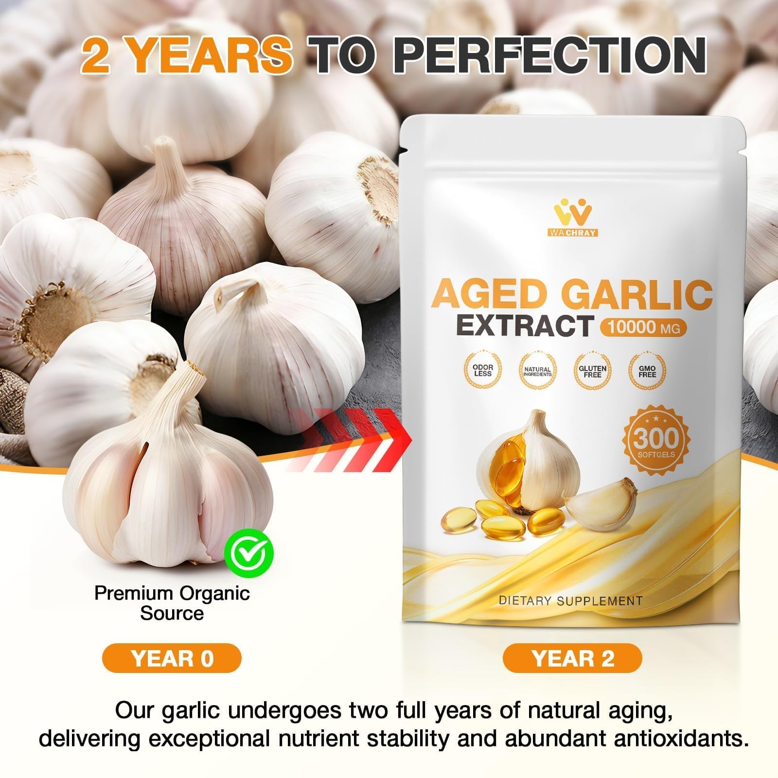 WACHRAY Aged Garlic Extract 300 Capsules – 10000mg High 300 Count (Pack of 1)