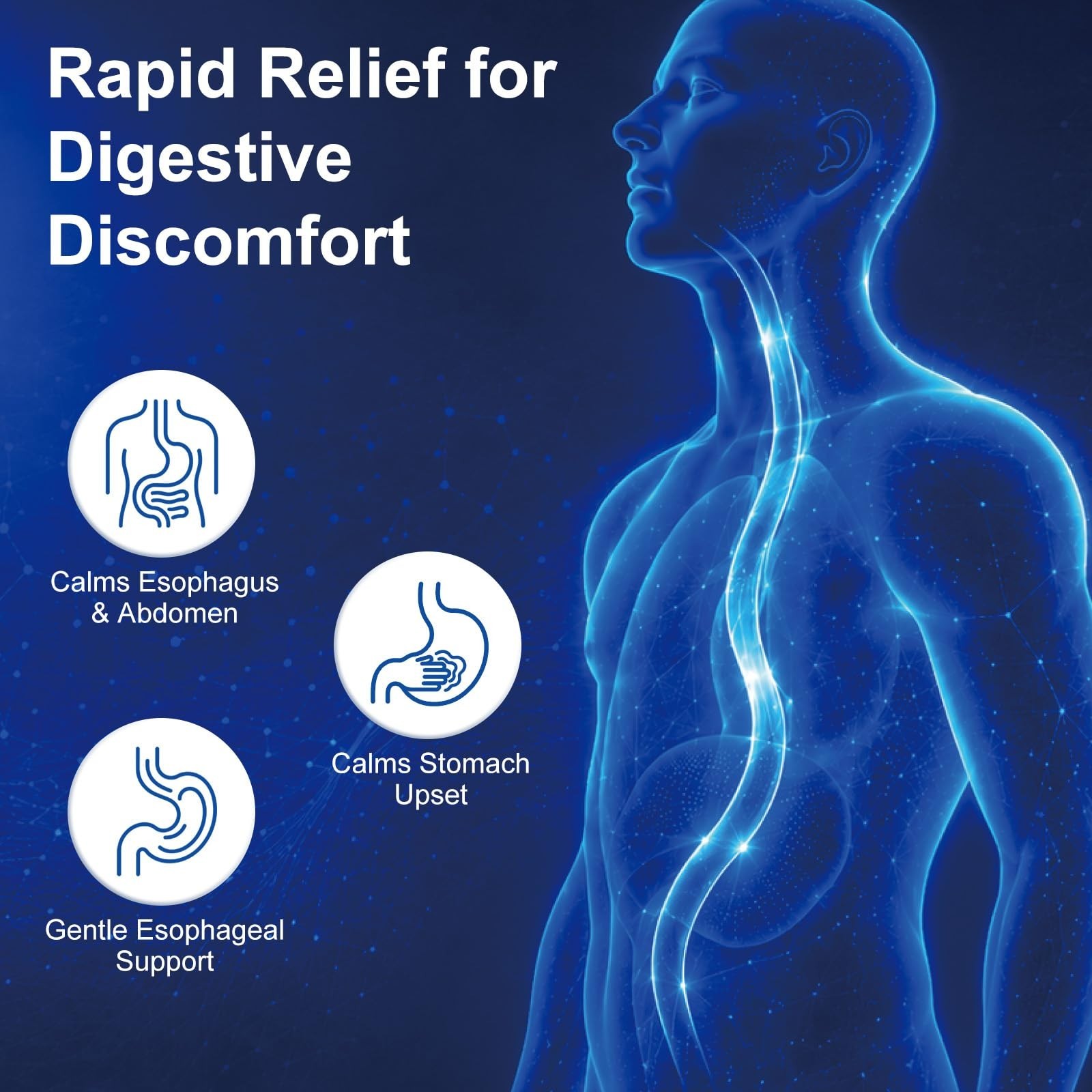 Esophageal Relief Drops – Slippery Elm, Zinc, L-Carnosine, Aloe Extract, Dairy F