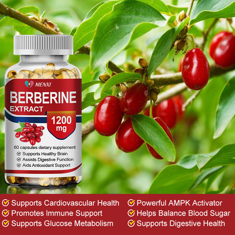 1-4 Packs Berberine HCl 1200mg Capsules – Blood Sugar Support Anti-inflammatory