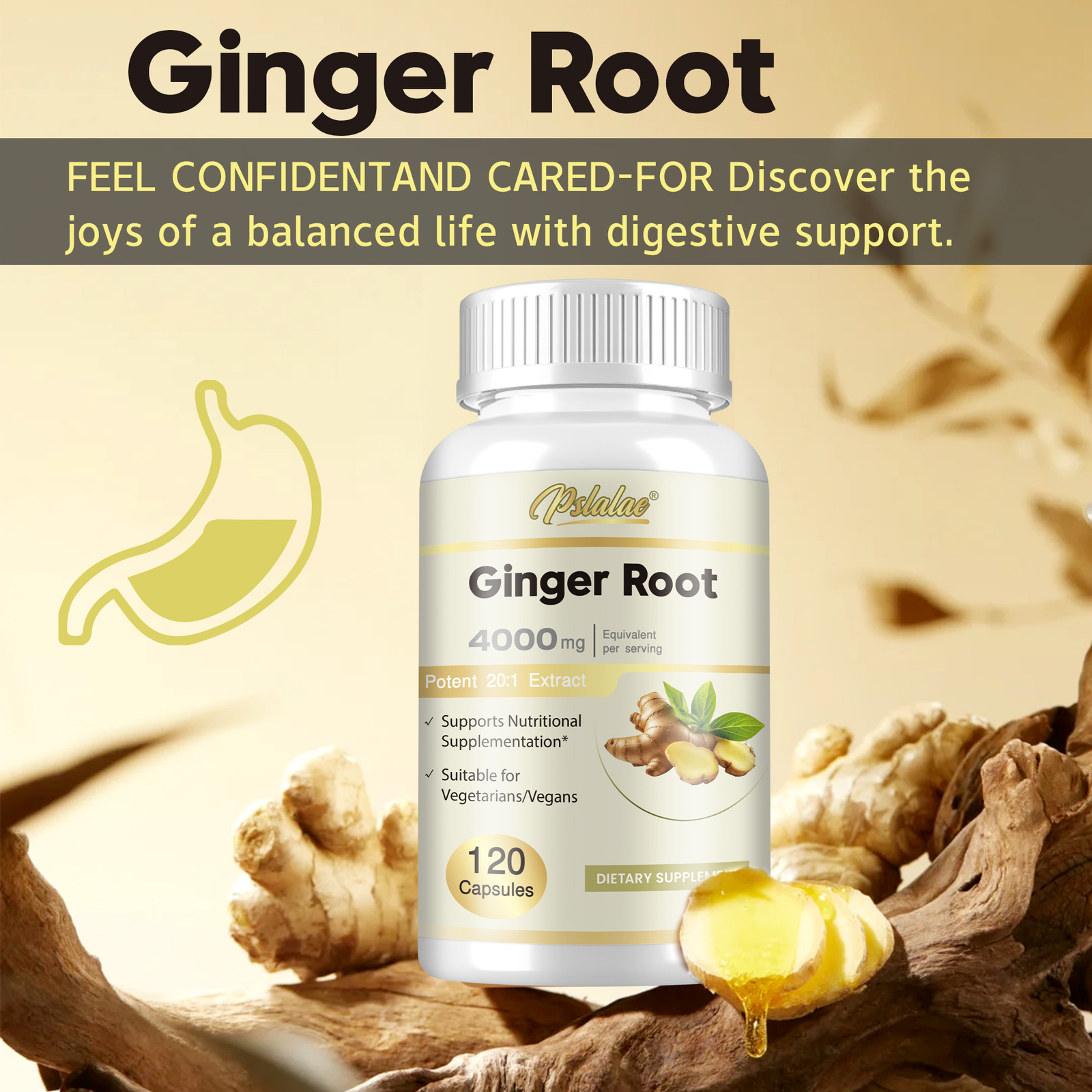 Ginger Root 4000mg – Highest Potency, Digestion, Nausea, Immune System Boost
