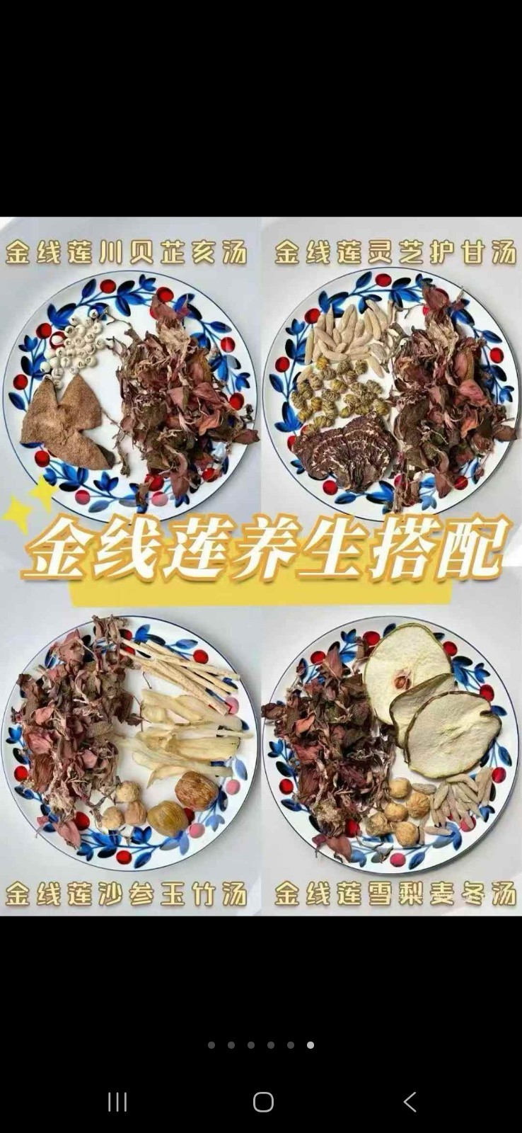 金线莲Jin Xian Lian 500g