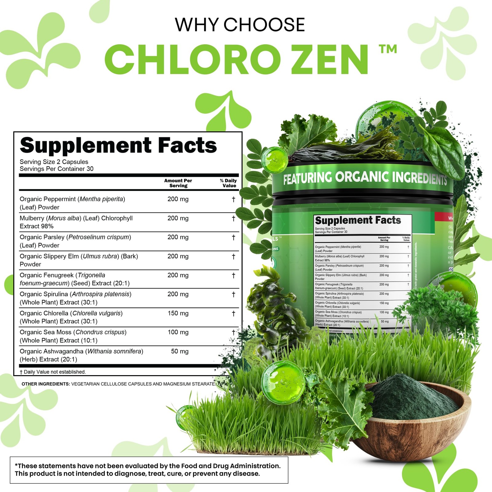 Clean Nutra ChloroZen Chlorophyll Peppermint + Spirulina 60 Caps Veg Exp 05/2028