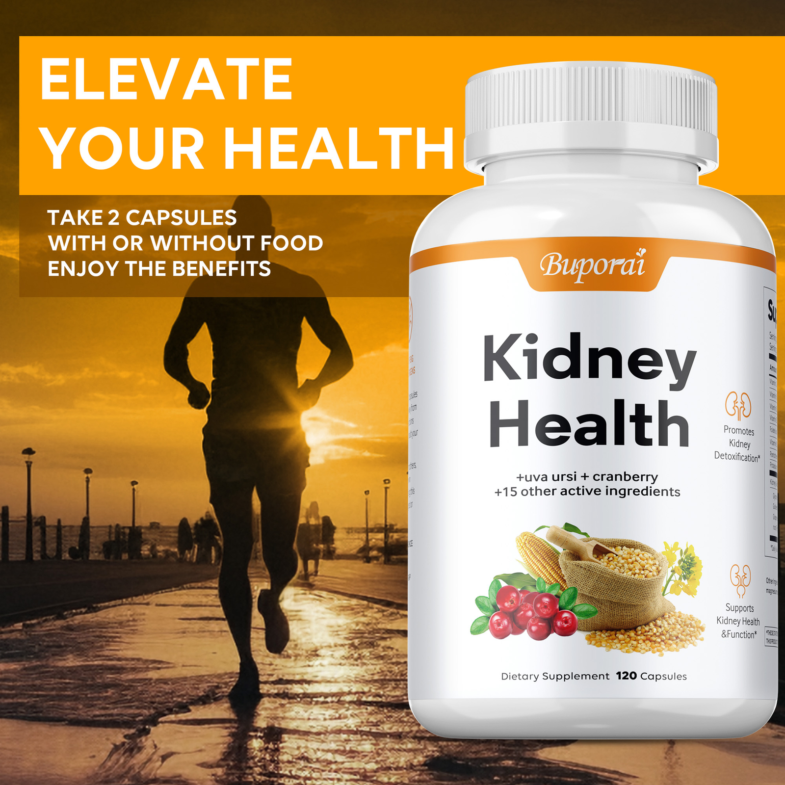 Kidney Health – Kidney Support, Detox & Repair, Urinary Tract Health & Bladder