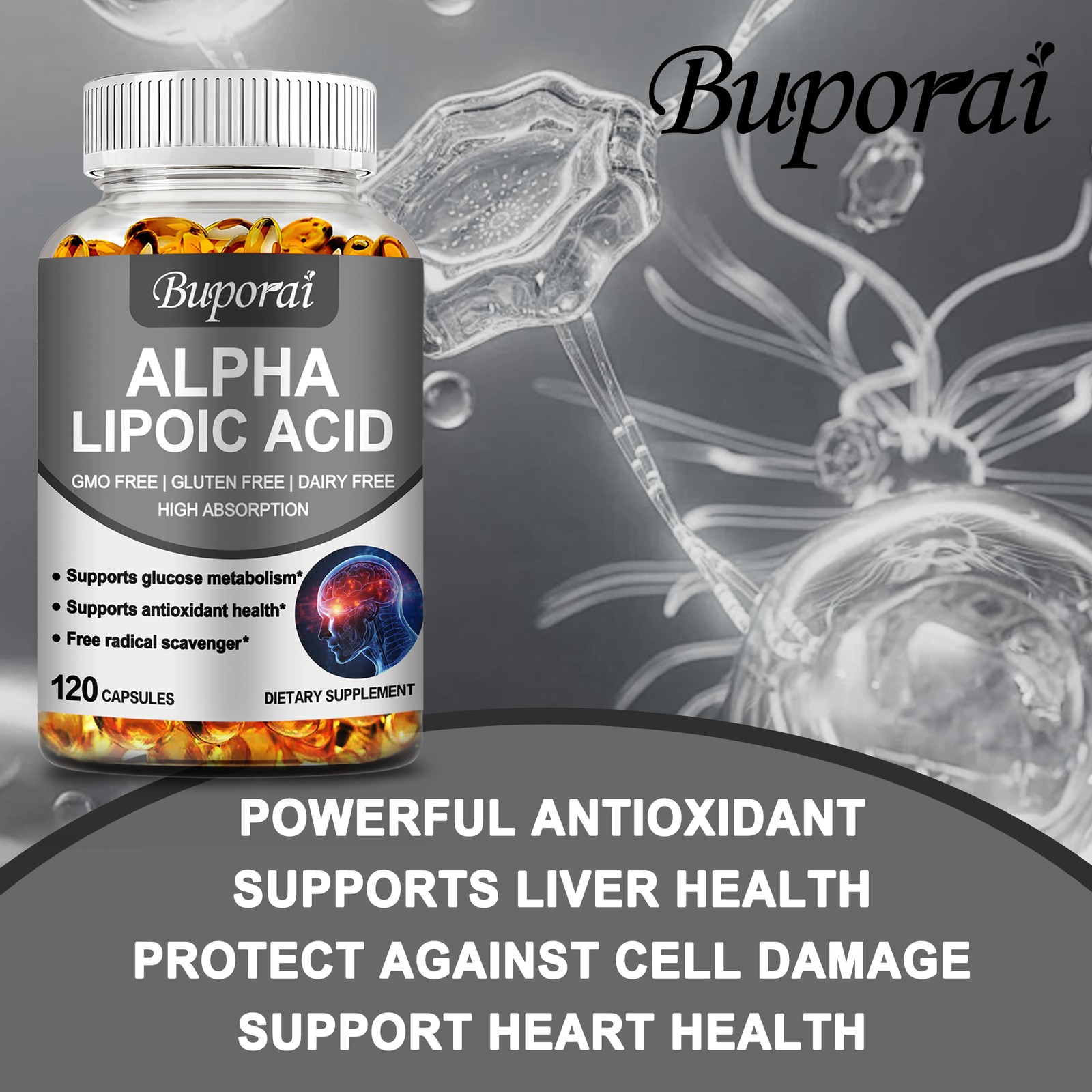 Alpha Lipoic Acid – Support Antioxidant and Sugar Metabolism, Relieve Nerve Pain