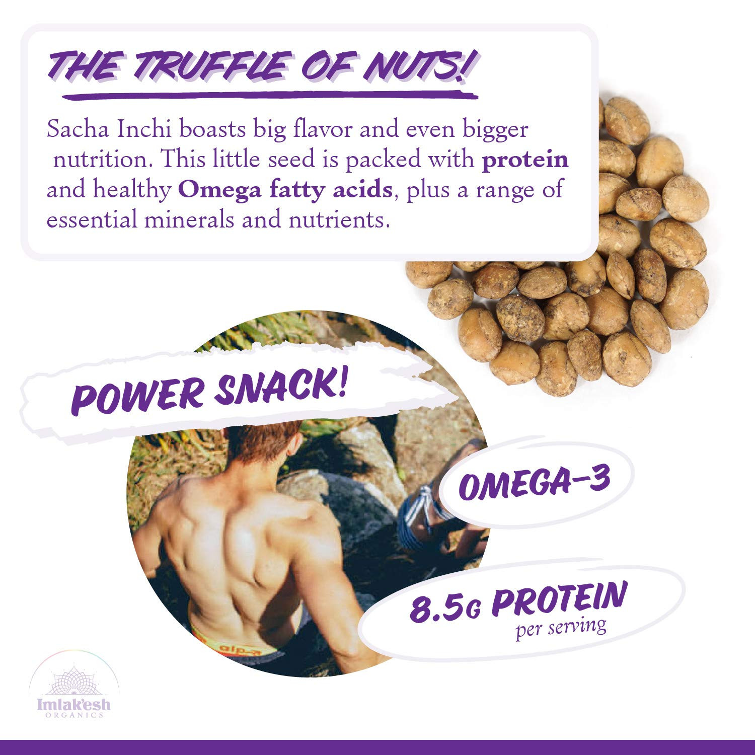 Sacha Inchi Super Seed Snack Organic Protein Omega 3 Vegan Gluten Free 2.25oz