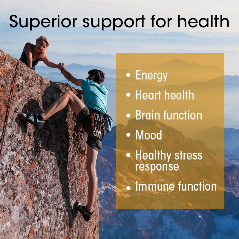 120~600x Vitamin B Complex Capsules B2,B6,B12, Immune Support Capsules 500mg