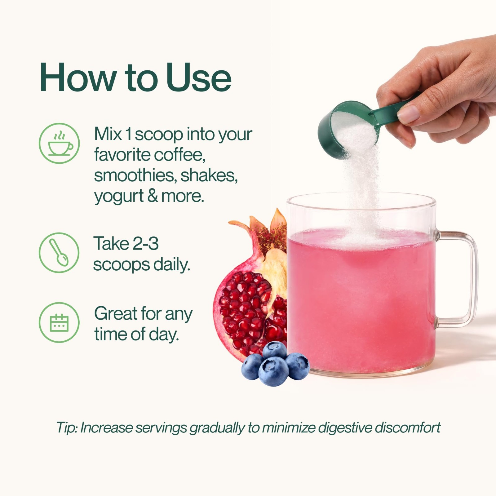 Daily Fiber Powder – Sugar Free Vegan Prebiotic Blend for Gut Health, 18 Serving