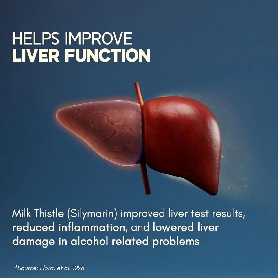 Liver Detox Supplement | Milk Thistle with 80% Silymarin | With 9-Ingredient J84
