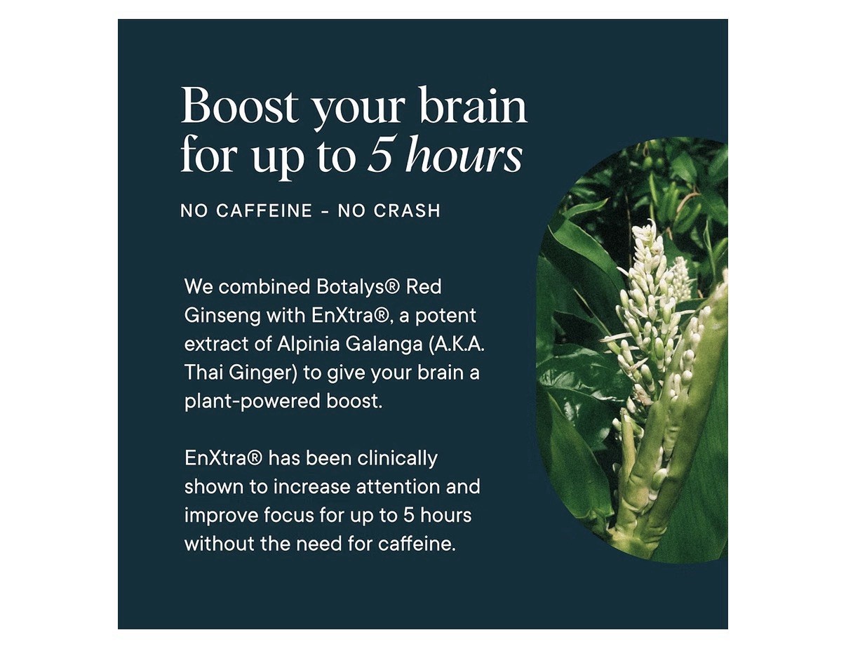 Ora Great Minds Cognitive Support Brain Health Focus Mental Energy Memory 60caps