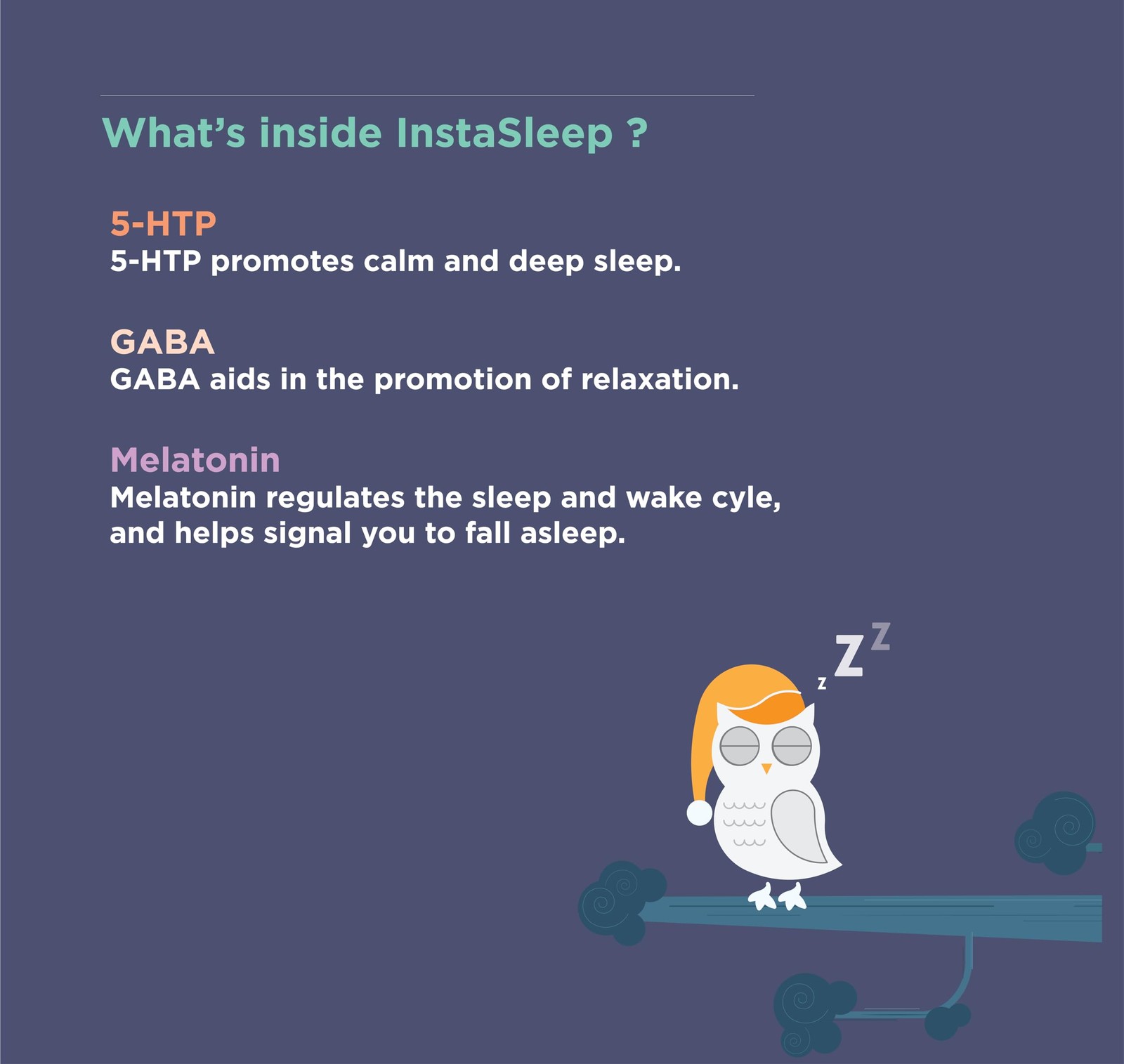 InstaSleep Mint 32 PACK InstaSleep Mint 32 PACK InstaSleep Mint 32 PACK………