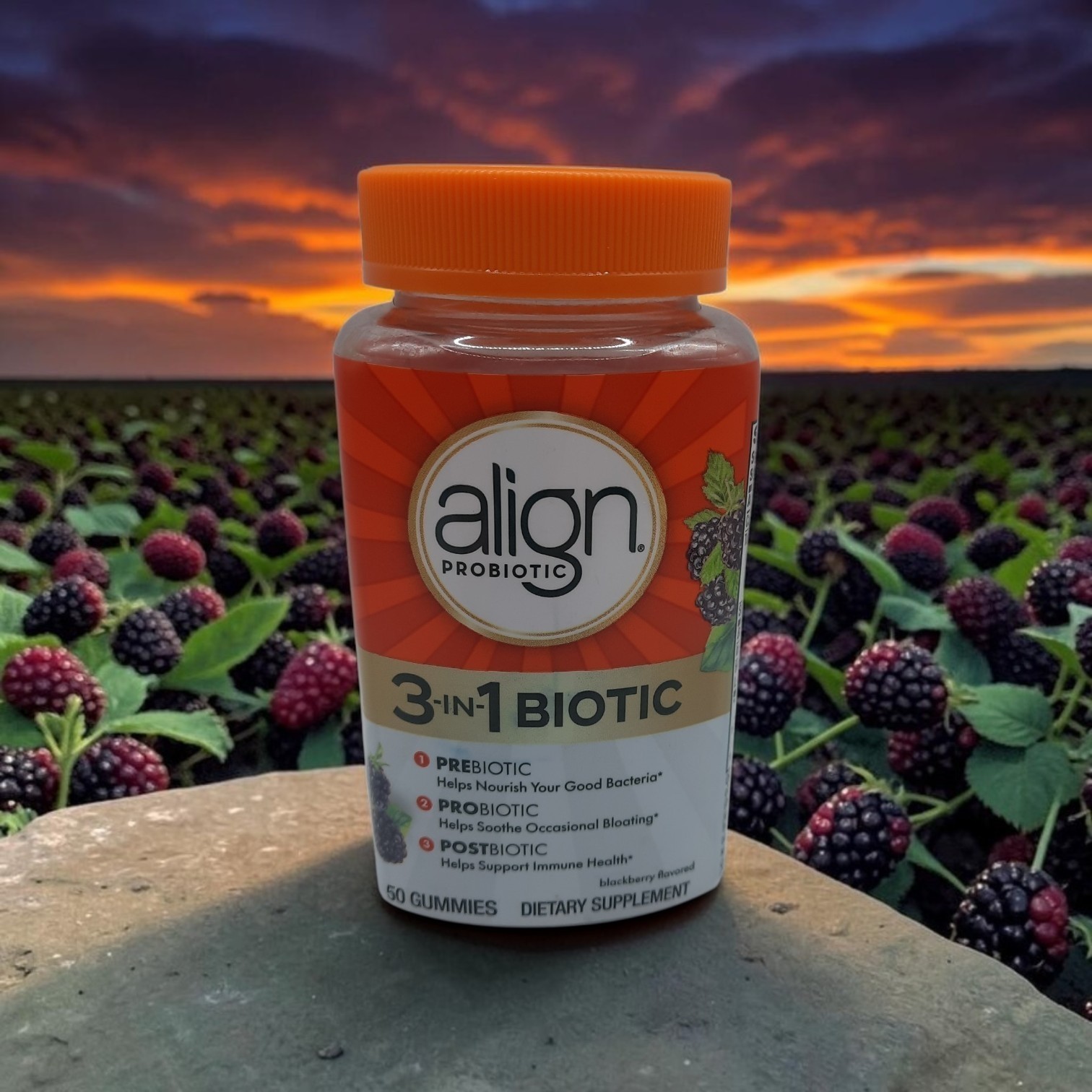 Align Probiotic 3-in-1 50 Gummies, Prebiotic + Probiotic + Postbiotic Exp. 04/27