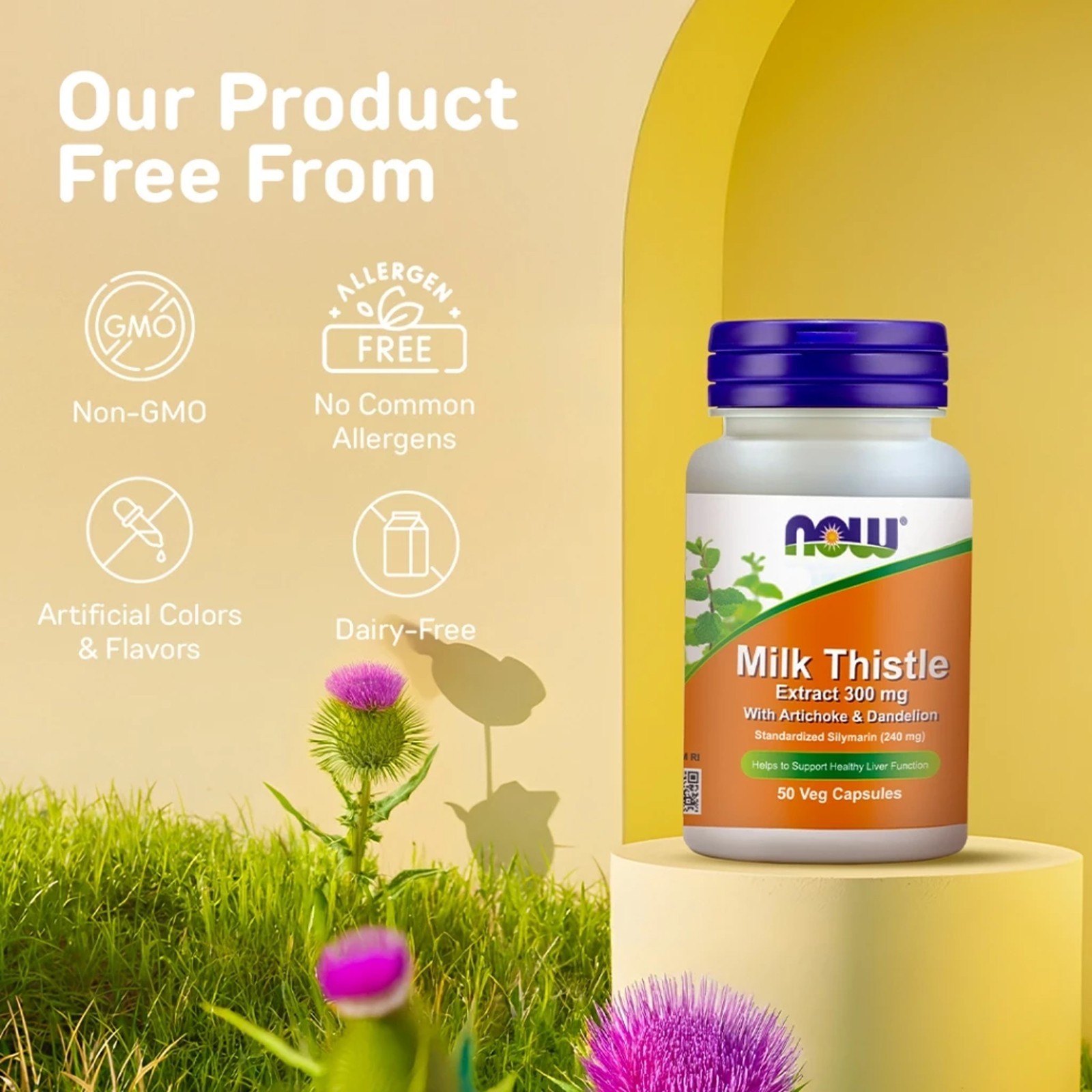 NOW Silymarin Milk Thistle Extract 300mg 50 Veg Capsules Liver Support Supplemen