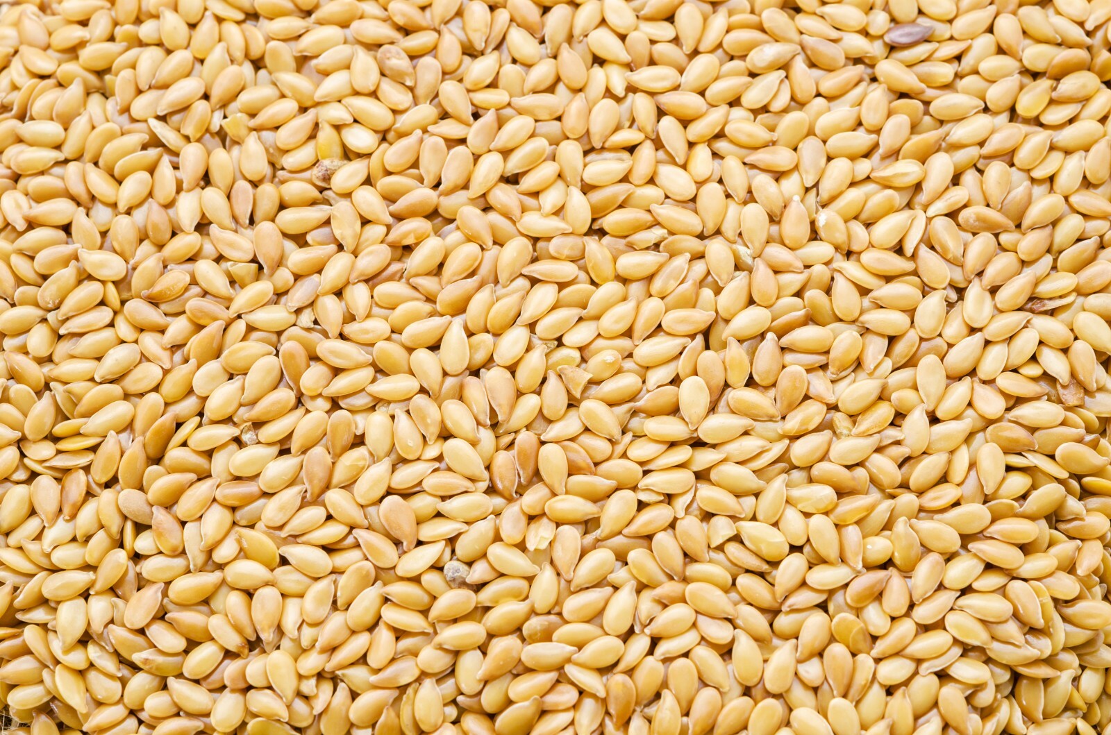 Golden Flax Seeds Whole Grain Seed Flaxseed NON GMO Linseed 1 oz to 20 lbs. Bulk