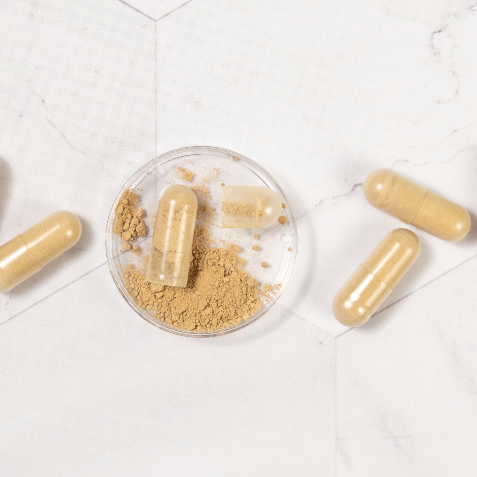 Agrimony Herb Capsules 500mg | 60 CT Vegan Allergen-Free Natural Detox & Liver