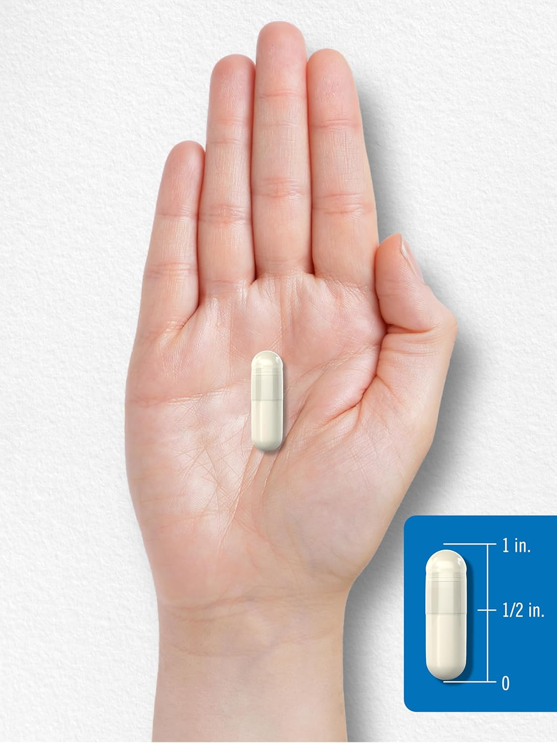 Digestive Enzymes | with Probiotics & Prebiotics | 180 Capsules | Non-Gmo and Gl