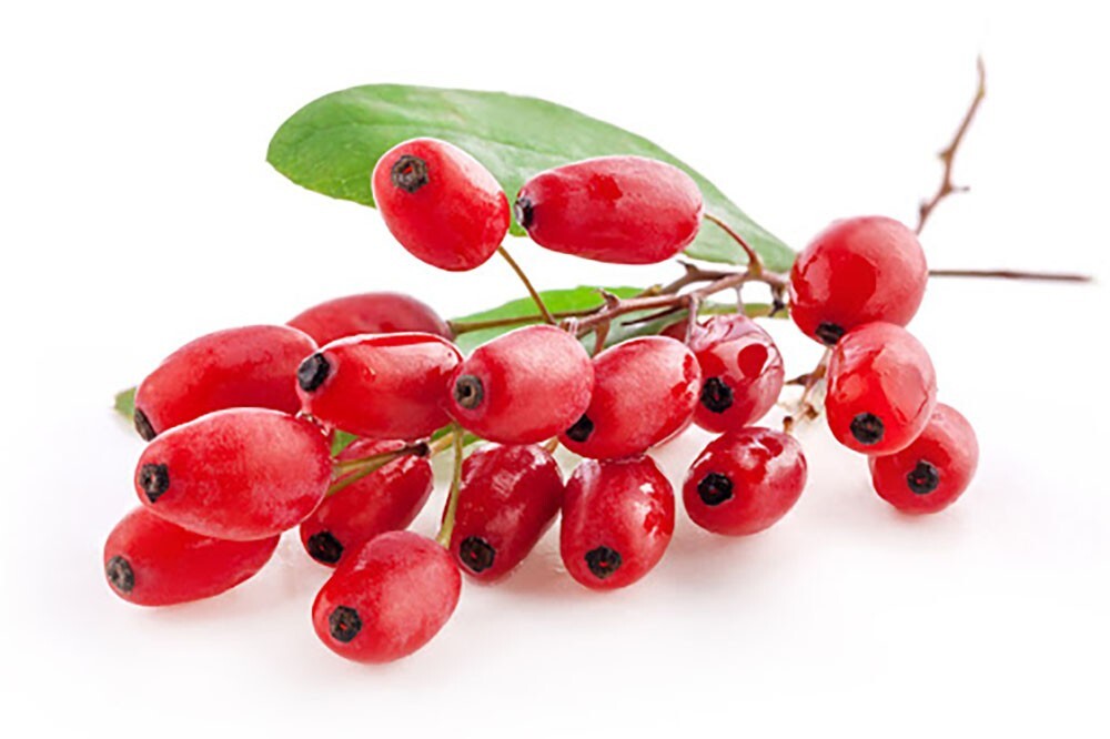 240 Berberine HCl 1200mg High Potency Berberine Supplement Blood Sugar Support