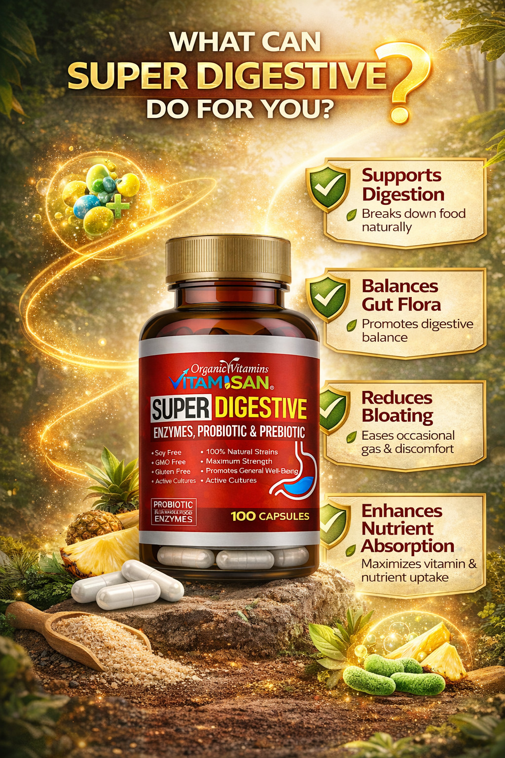 Daily Digestive Enzymes with Prebiotics Probiotics 100 capsules
