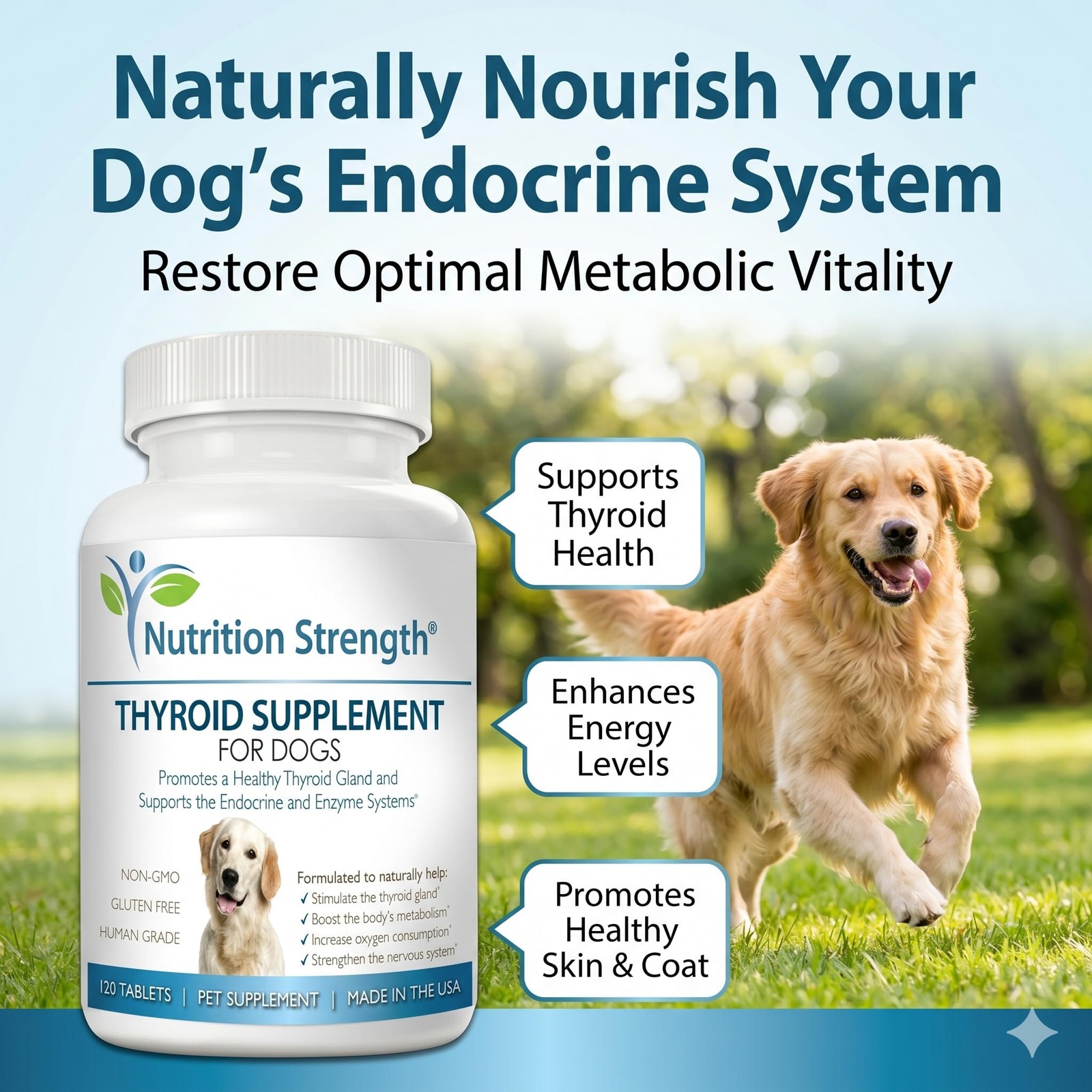 Thyroid Supplement for Dogs, Support for Hypothyroidism in Dogs with Organic …