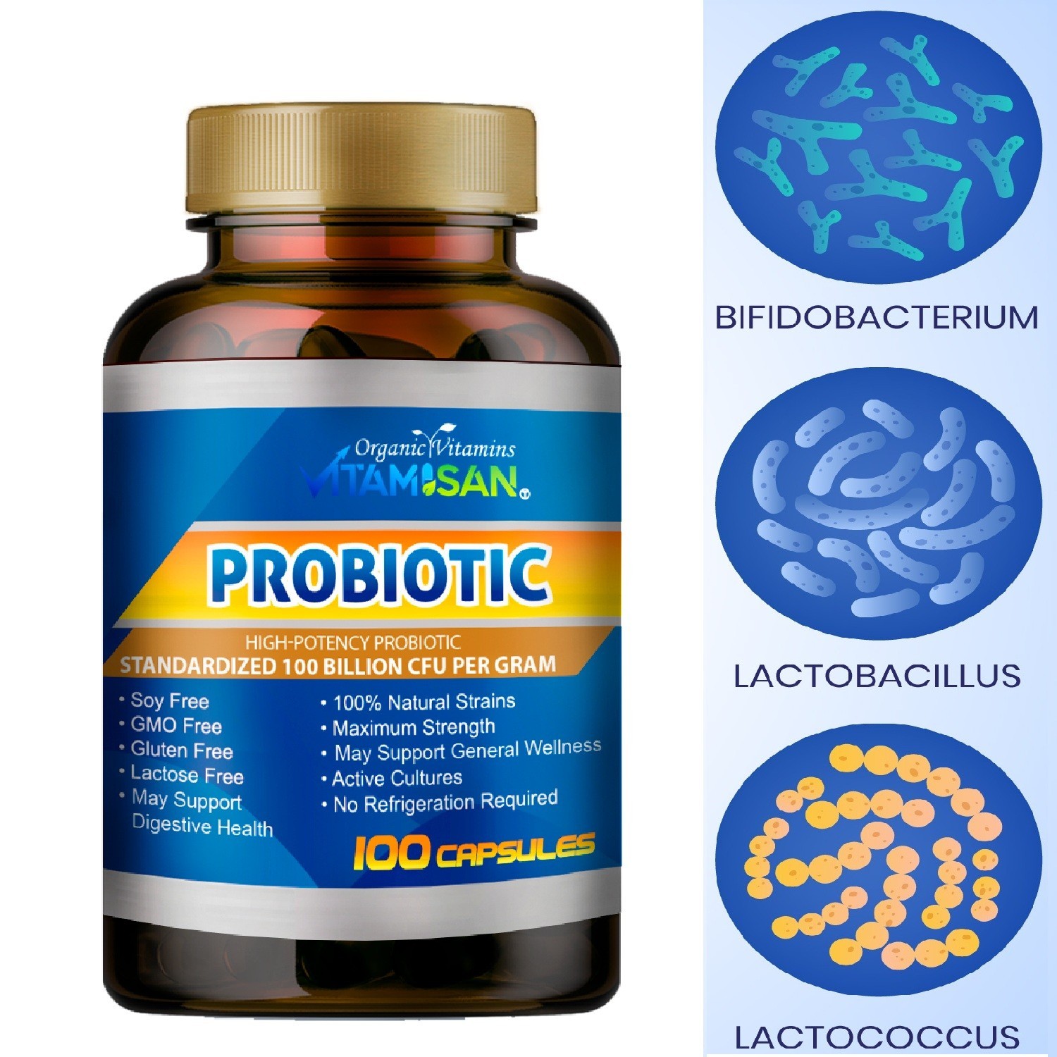 Probiotics for Digestive Health daily health colon probioticos naturales