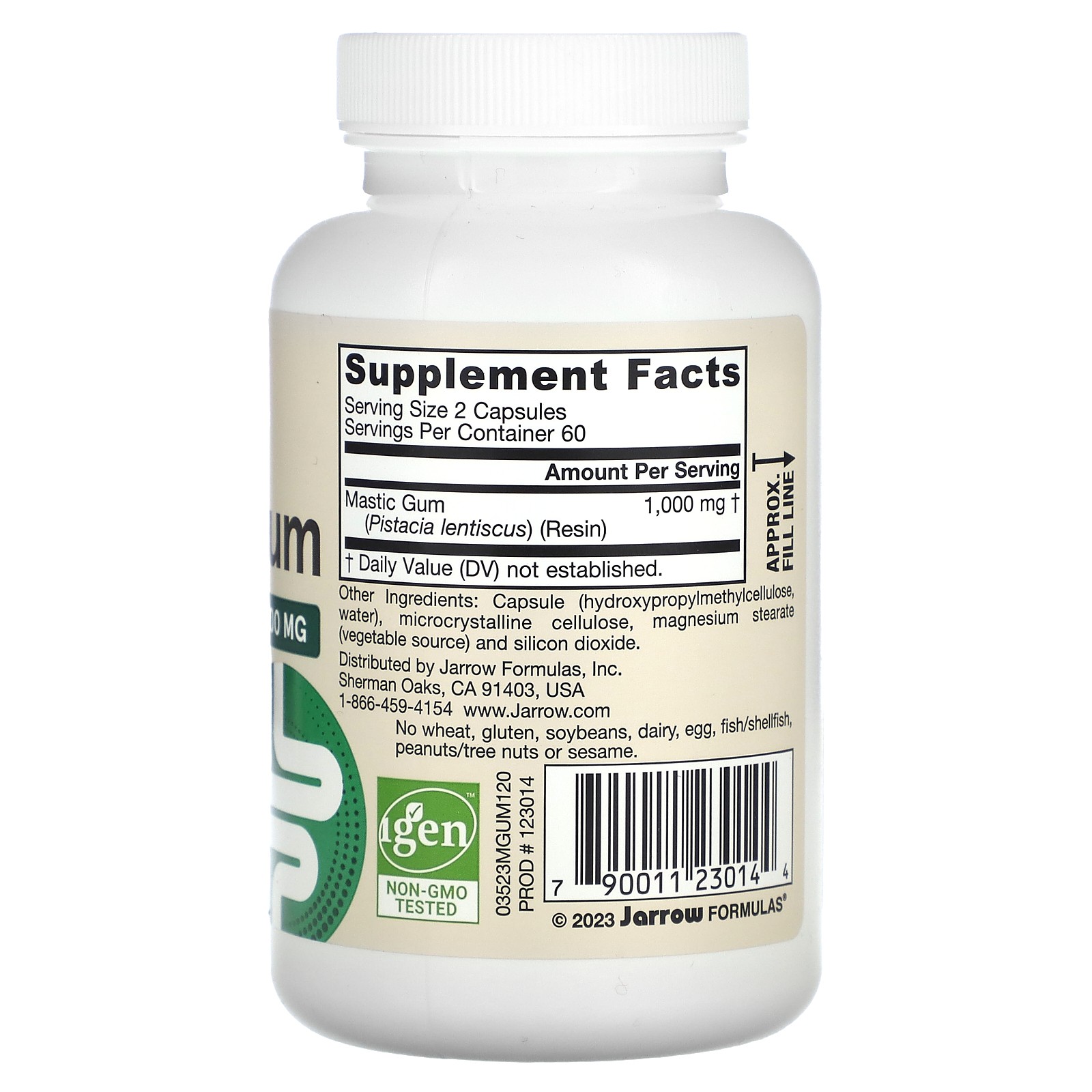 Vegan Mastic Gum, 1,000 mg, 120 Veggie Capsules