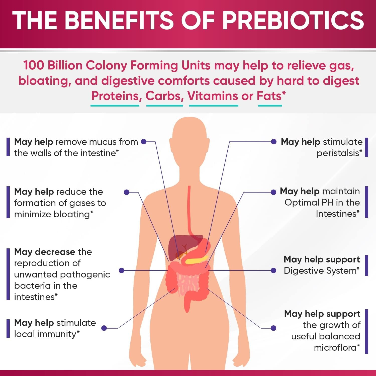 Wholesome Wellness Women’s Raw Digestive Enzymes Probiotic 100 Billion CFU Caps